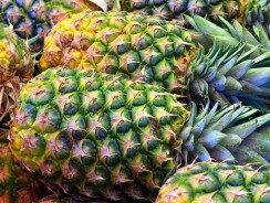 Kad nema šljiva  – rakiju peče od ananasa