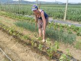 Plodored u bašti – Kako obaviti smenu povrća u narednoj setvi?