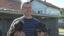 Nemački ovčar – Psi šampioni iz sela Šume odlaze u svet