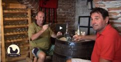 MOJE SELO: U Korbovu na Dunavu raj za ribolovce uz seoski turizam (Pink 3)